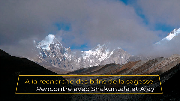 Voyage vers la Sagesse